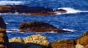 2012/01/22/0530248001380586457