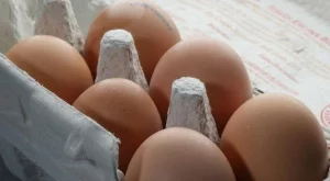 Идват полски яйца
