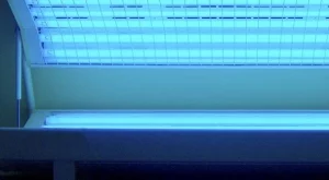2013/01/02/0623918001380569269