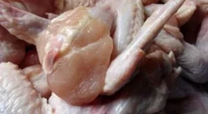 Беларус спря вноса на птичи продукти от България