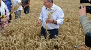 Цената на хляба пада през следващите месеци