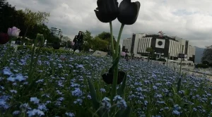 Образуваха досъдебно производство за парите за ремонта за НДК 