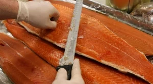 ГМО сьомга вече се продава в канадските магазини