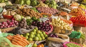 Вече всяка държава от ЕС може да се откаже от ГМО културите