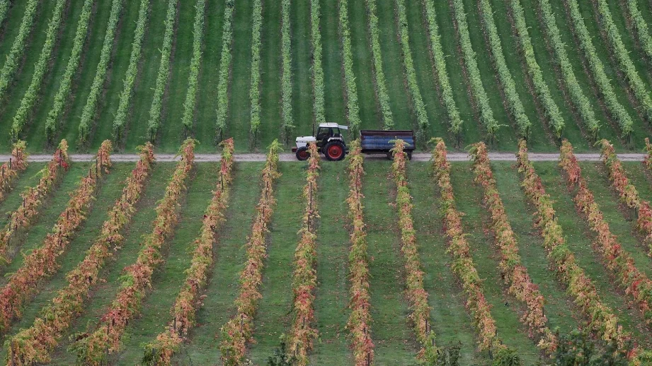 Полицията ще охранява реколтата 