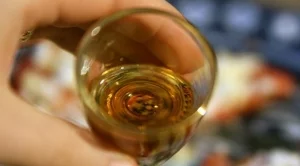 Карнобатска гроздова влиза в регистъра на  защитените географски указания
