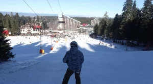 2013/12/18/0266391001387351825