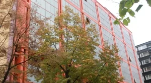 Сметната палата е проверила над 77 000 имуществени декларации за 10 г. 