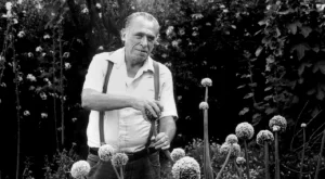 "Почти всеки се ражда гений, а умира идиот."