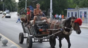 Нов опит за забрана на каруците в София 
