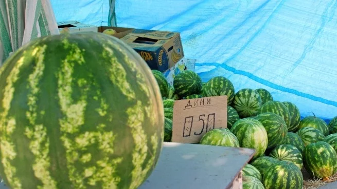 Дините от Любимец изчезват от пазара