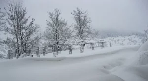2015/03/12/0075522001426186315