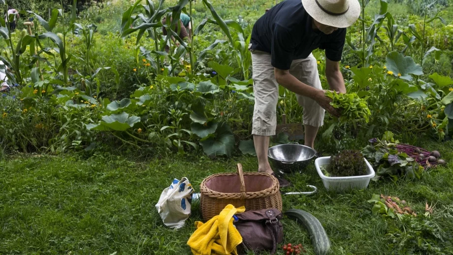 Биопроизводители излизат на протест