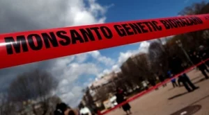 Bayer се цели в Monsanto