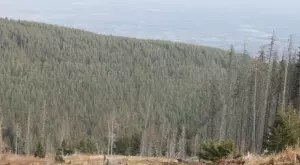 2015/11/21/0518099001448119360