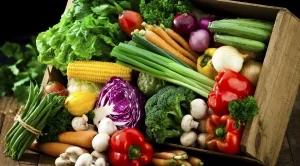 Ще има нови изисквания за внос на органични продукти в ЕС