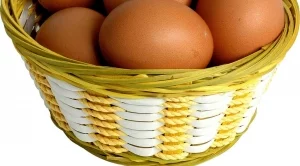 Изтеглиха от пазара полски яйца заради съмнения за салмонела 
