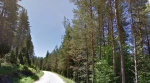Горите с ограничения за стопанската дейност са се увеличили с 200 000 ха