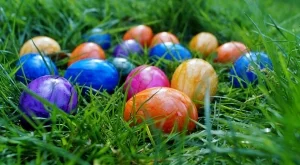 2016/04/30/0979985001462002278