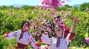 Нови условия за сключване на еднодневни трудови договори от есента