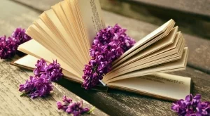 Защо старите книги миришат толкова привлекателно?