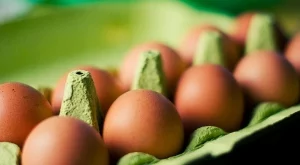 БАБХ: Не казваме марките на продуктите с фипронил, защото няма риск за здравето