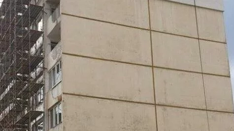Гълъби станаха жертви на санирането