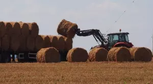 2017/08/09/0751776001502266891