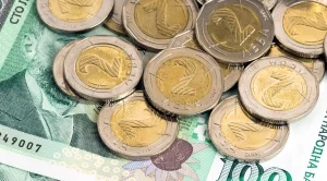 Колко българи взимат над 2000 лв. заплата?