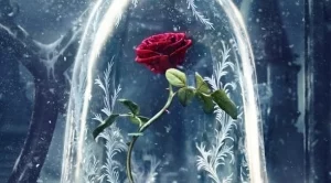 13 цитата от филми на Disney, които ще стоплят сърцето ви 
