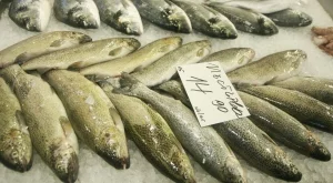 Рибата в Европа свършва, предупреждава WWF