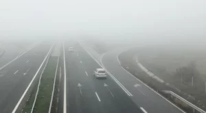Колите у нас масово са на по над 20 г.