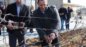 Двойно се увеличава износът на българско вино за Китай
