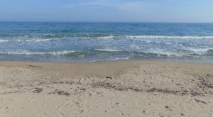 2018/04/03/0660479001522756424