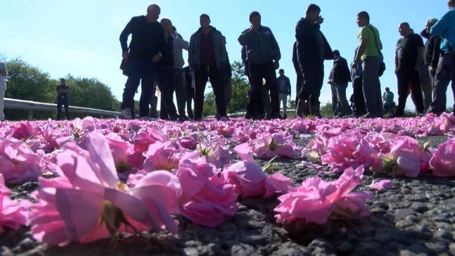 Производители на рози от Казанлъшко също излязоха на протест 