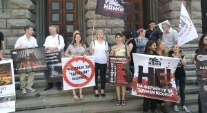 Внесоха в НС над 33 000 подписа срещу убиването на животни заради кожата им