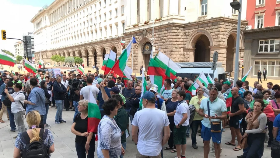 Животновъд: Какво прави силиконка от "Биг Брадър" на протеста?