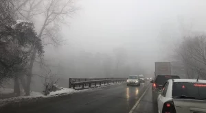 2018/12/03/0348947001543834585