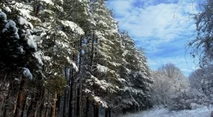 Вижте какво време ни очаква на Коледа