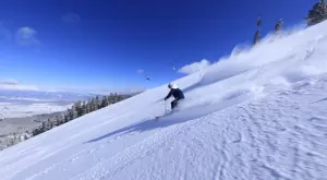 2021/11/18/0590863001637230171
