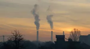 2022/01/04/0446841001641280203