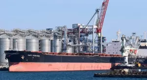 Наполовина е спаднал зърненият износ на Украйна