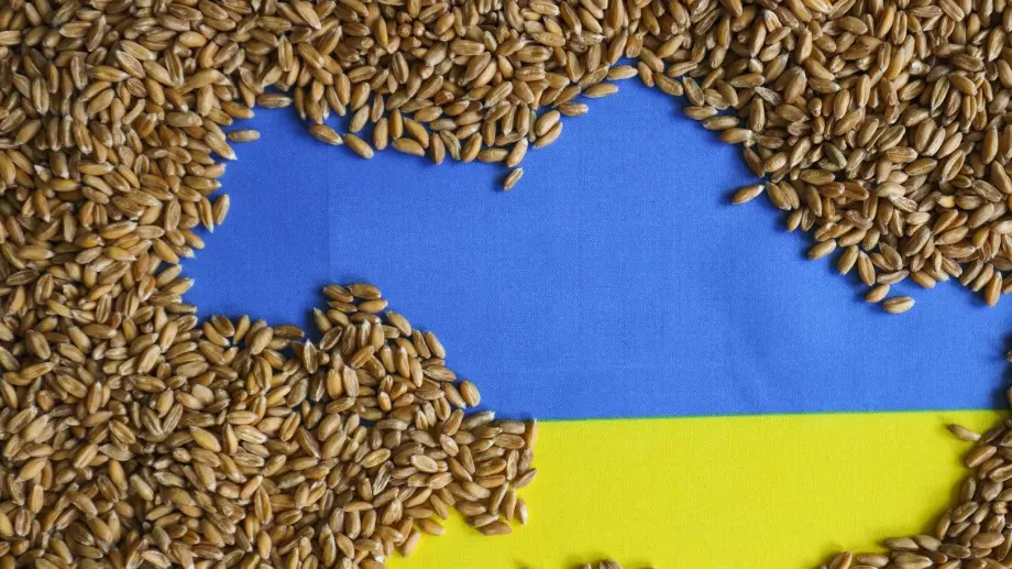 Няма да продължаваме забраната за внос на украинско зърно