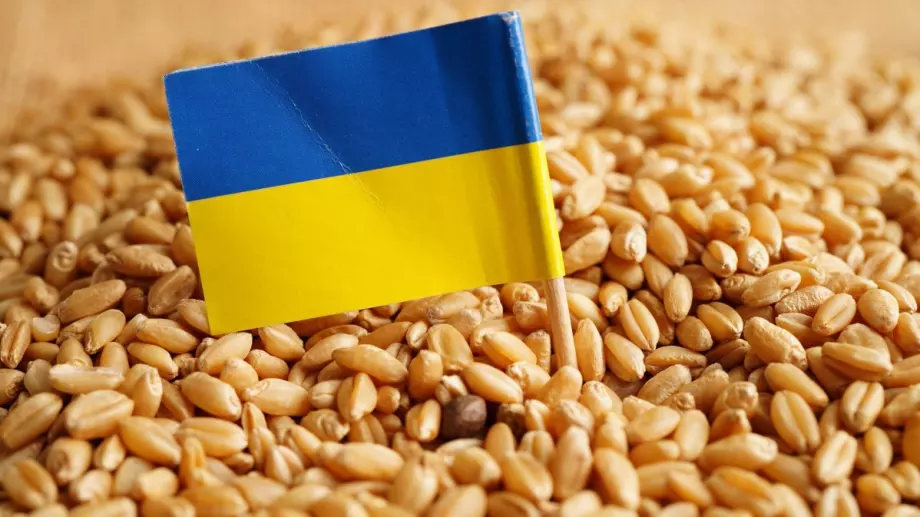 Зърнопроизводители в страната излизат на протест заради вноса на украинско зърно