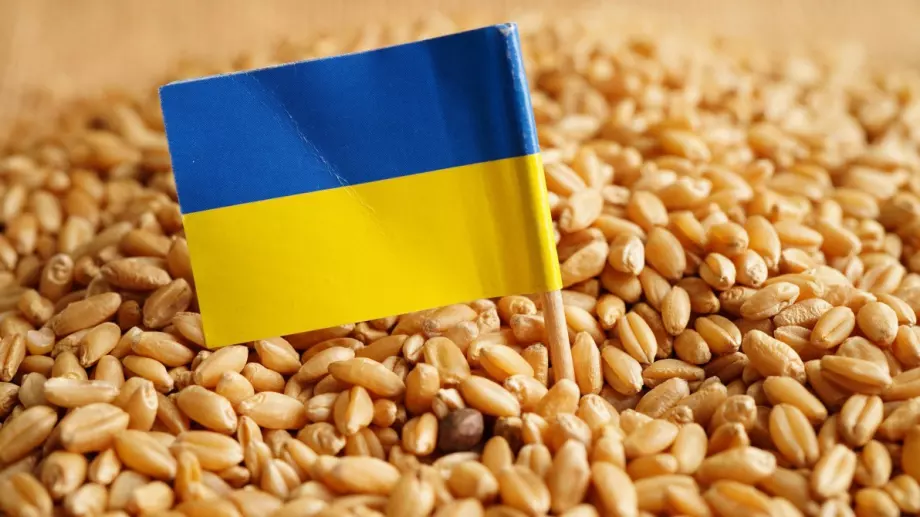 Украйна иска удължаване на зърнената сделка с година, включва нови пристанища