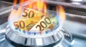 Наша съседка замразява цената на газа за потребителите до май 2024 година 