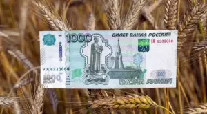 Две от компаниите в топ 6 на износителите на руско зърно напускат Русия