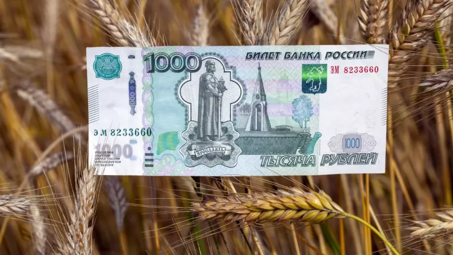Цената на пшеницата покори 4-месечен връх заради несигурността около Русия