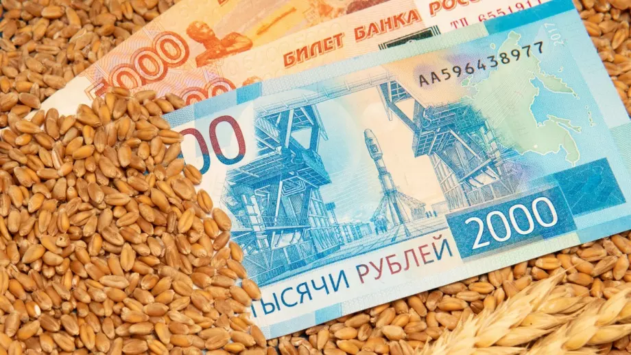 Какво печели Русия от забраната за внос на украински храни в ЦИЕ?