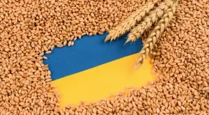 Според ООН: За кои страни ще има тежки последици след спиранието на зърнената сделка?